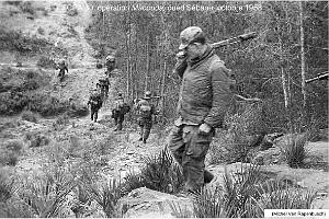 154 - ARMEE DE L'AIR EN ALGERIE 1945-1962-2 (65)